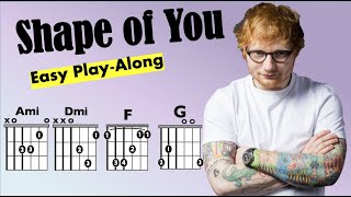 Shape of You Ed Sheeran Acoustic Performance [upl. by Toffic]