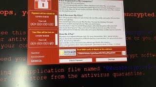 What happens when you run quotWannaCryquot Ransomware in Windows 10 [upl. by Kieffer]