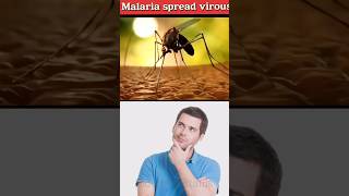 Malaria 🦟 spread virous biology spreqd humanbody [upl. by Sara-Ann874]