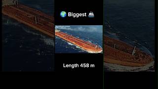 World Biggest Ship🌍 Seawise Giant🤯 shorts [upl. by Amal]