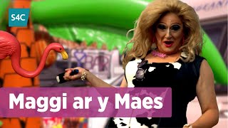 Maggi Noggi ar y Maes  Eisteddfod Genedlaethol Llŷn ac Eifionydd  National Eisteddfod 2023  S4C [upl. by Nazler]