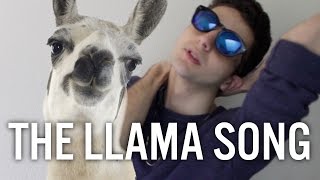 THE LLAMA SONG [upl. by Alexio]