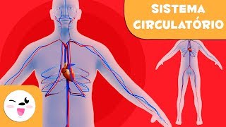 Sistema Circulatório para Crianças  O Corpo Humano para crianças [upl. by Eidnam778]