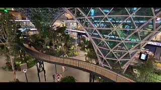 Hamad International Airport  Doha Qatar  Extravagant Luxury dohaairport qatar visitqatar doha [upl. by Boote10]