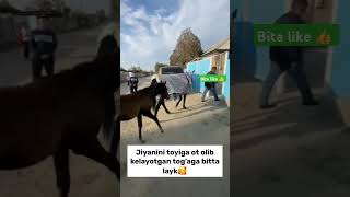 JIYANI UCHUN OT SOVGA QILDI😱 musicgenre funny [upl. by Lutero]