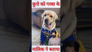 कुत्ते को गरबा के ड्रेस में पहनकर किया तैयार dog shorts [upl. by Alletniuq]