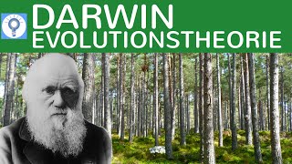 Evolutionstheorie von Charles Darwin  Die Selektionstheorie  Evolution 6 [upl. by Dagny927]