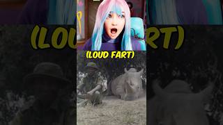 Rhino Releases LOUD FART 💨 [upl. by Rose]