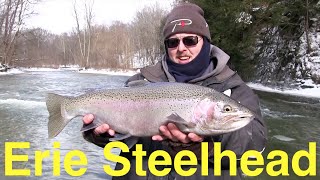 Erie Steelhead Fishing [upl. by Trace]