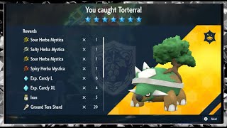 TORTERRA SOLO RAID [upl. by Edge]