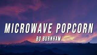 Bo Burnham  Microwave Popcorn Lyrics [upl. by Annoyik713]