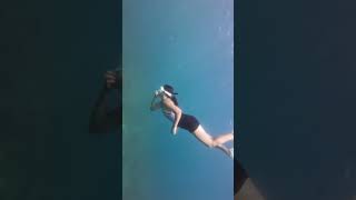 Freediving in Zambales freediving freediverlife [upl. by Hueston]