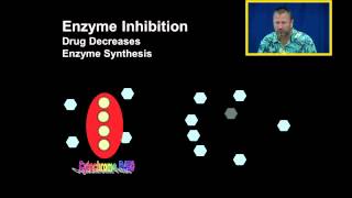 Enzyme Inhibition and Enzyme Induction [upl. by Kinzer507]