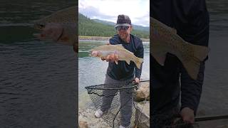 Full Throttle Trout Montana fishing Trout rainbowtrout [upl. by Baerl711]