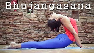 Bhujangasana  Preparatory Poses for Chakrasana [upl. by Harat]