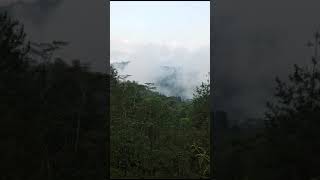 Above The Cloud Rain Forest Pacitan Regency East Java Indonesia 2024 [upl. by Cheston685]