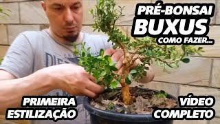 BUXUS  PRIMEIRA ESTILIZAÇÃO  AYKA  BONSAI [upl. by Killen]