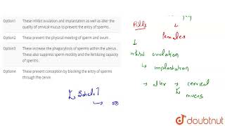 Which of the following is the correct description of the mechanism of action of a combined pill [upl. by Initirb]