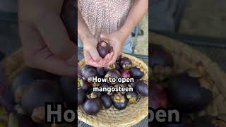 How to open mangosteen mangosteen fruit tropicalfruit queenoffruit [upl. by Leese353]