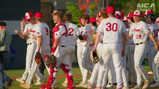 Orchard Lake St Marys v Brother Rice  CHSL Finals [upl. by Alamaj787]