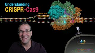 Understanding CRISPRCas9 [upl. by Atiroc]