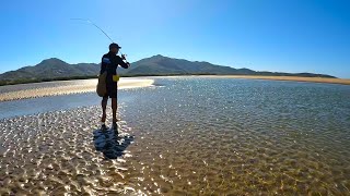 BASIC Beach FISHING  Catch DINNER [upl. by Idissak]