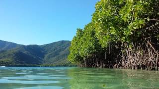 La cienaga de ocumare costas de aragua venezuela [upl. by Nivra862]