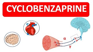 Cyclobenzaprine Tablets as Muscle Relaxant [upl. by Arikihs]