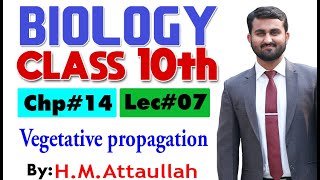 Vegetative propagation  Chapter  14  Biology Class 10th  Lec 07 [upl. by Irrem686]