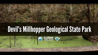 Firsthand Florida Fun Devils Millhopper Geological State [upl. by Camey]