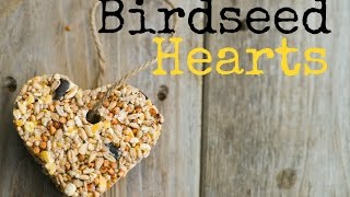 How to Make Birdseed Hearts [upl. by Bixler]