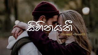 Sihinayaki  සිහිනයකී  Milinda Sandaruwan Slowed and Reverb mrrevibeslk [upl. by Ylicec]