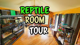 Reptile Room Tour Part 1 [upl. by Asillem]