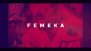 BIENVENIDO A TODOS AL CANAL OFICIAL DE FEMEKA [upl. by Tekcirc651]