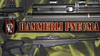 hammerli pneuma elite 10 review w ballistics gel test [upl. by Fogel216]