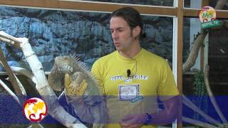 ReptilTV  Folge 15  Handling von Echsen [upl. by Giustino]