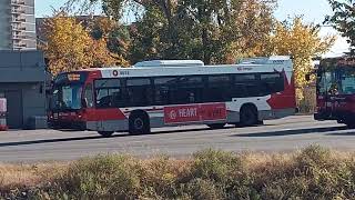 OC bus 4653 a 2019 NovaBus LFS 4TH Gen Diesel Low Floor bus SCRAP  PAS EN SERVICE [upl. by Hinze]