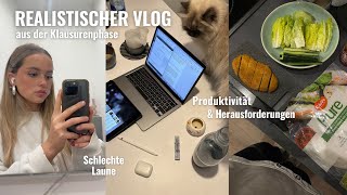 Ein realistischer Vlog in der Klausurenphase Workload Motivation Haushalt amp Probleme [upl. by Nitsed]