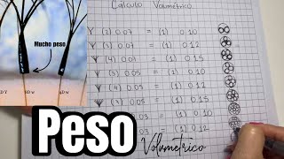 cómo calcular el peso de las extensiones de pestañas EXPLICACIÓN COMPLETA [upl. by Asenab152]