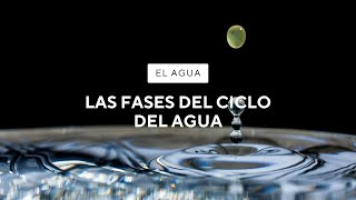 Fases del Ciclo del Agua  Peñaclara [upl. by Arod477]