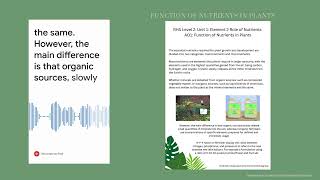 Function of Nutrients in Plants [upl. by Ycats]