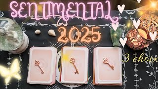 2025 SENTIMENTAL 💕 3 choix 💫 💖 💗 [upl. by Irahk523]