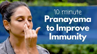 10 Minute Pranayama to Increase Immunity  इम्यूनिटी बढ़ाने के लिए प्राणायाम satvicyoga [upl. by Odell]