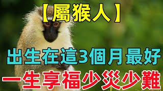 【屬猴人】出生在這3個月最好，一生少災少難，福壽雙全！ [upl. by Dabbs]