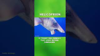 Helicoprion  Discover the most terrifying animals dinosaur [upl. by Arbas580]