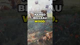 Belleau Wood  The Battle That Changed WW1 [upl. by Kirbie48]