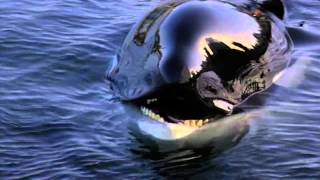 Michael Jackson  Will You Be There Free Willy [upl. by Jovia]