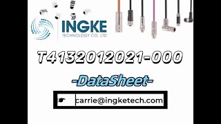 T4132012021000 DataSheet  ingketechnet [upl. by Eckmann]