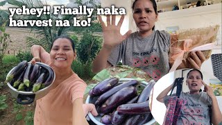 FINALLY NAKA HARVEST NA KOOPEN SA GIVE AWAY Florame Boholana Vlog [upl. by Nicram]