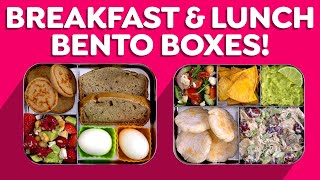 Breakfast amp Lunch Bento Box Ideas are BACK [upl. by Edris]